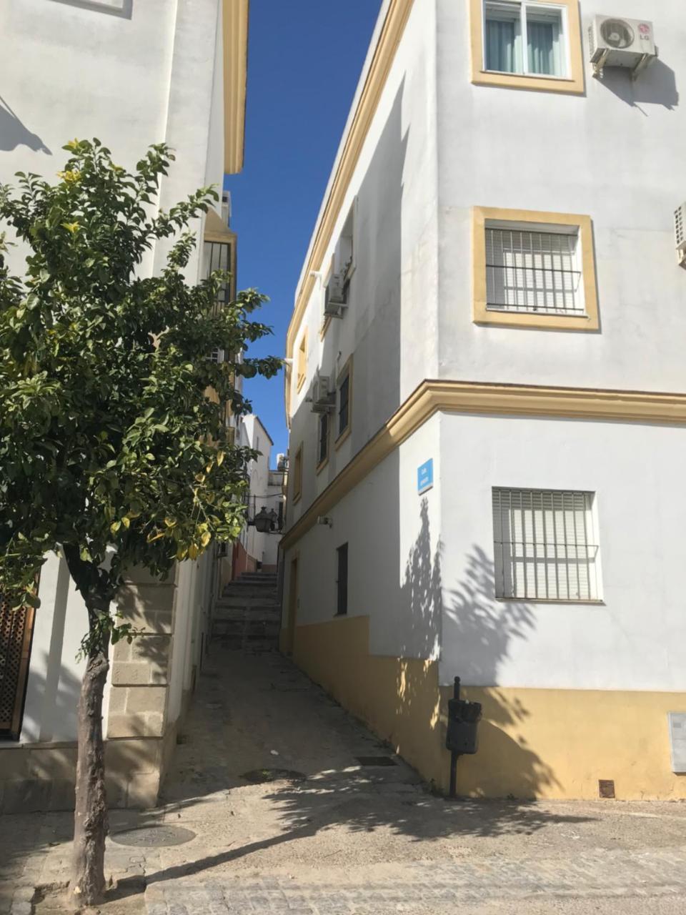 Apartamento !!Vive Jerez!! Jerez de la Frontera Buitenkant foto
