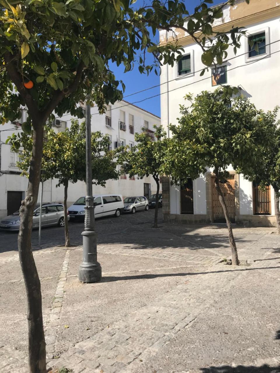 Apartamento !!Vive Jerez!! Jerez de la Frontera Buitenkant foto